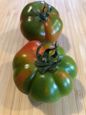 Pomodoro costoluto 500 g