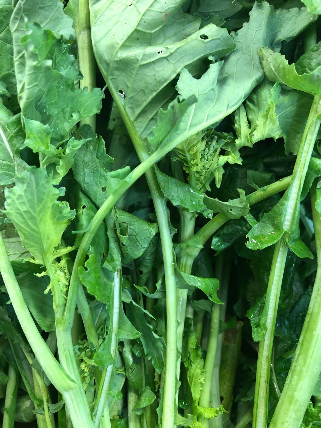 Broccoletti 1 kg