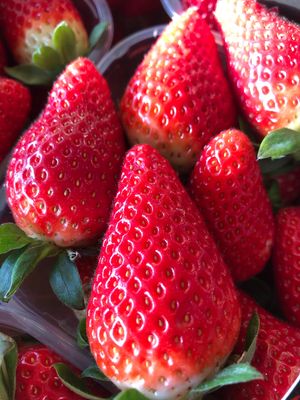 Fragole 500 g