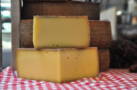 Alpkäse Musenalp Isenthal 500g