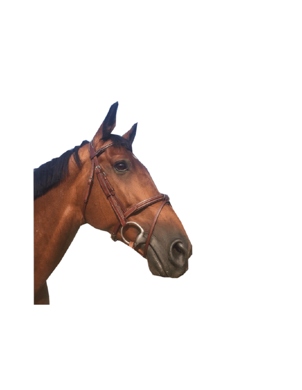 Bridon classique Cavaletti