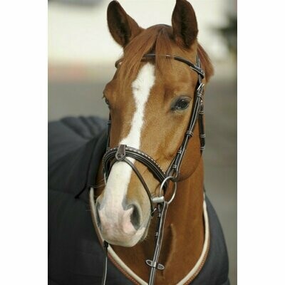 Bridon Point sellier Pénélope LEPREVOST