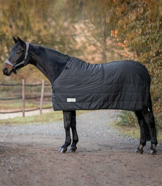 Sous couverture cheval thermique économique
