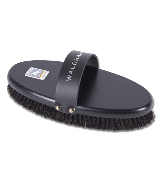 Brosse grand modèle DOKR