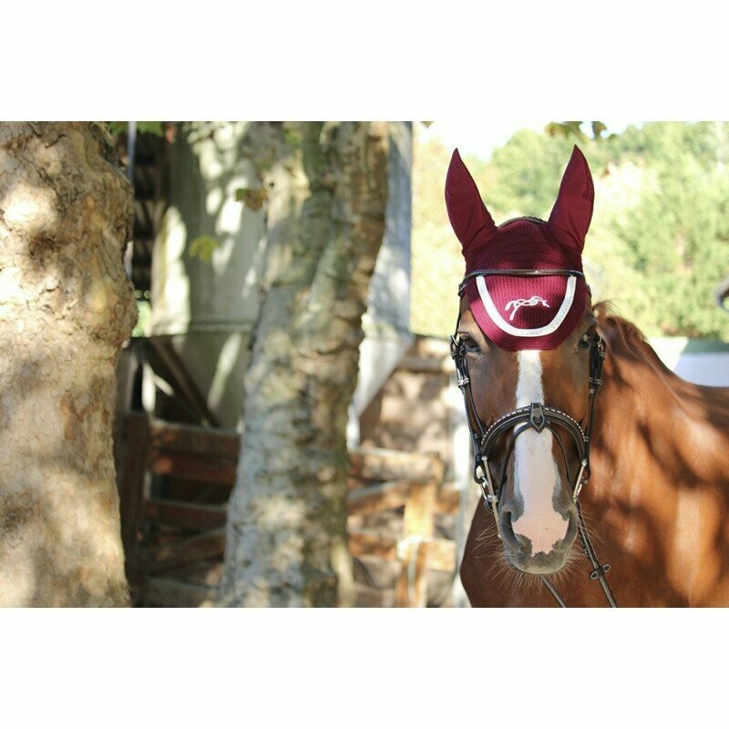 Bonnet point sellier