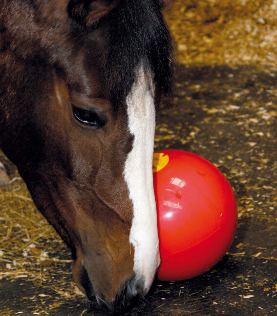 Likit Snack a ball