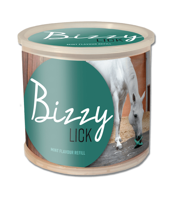 Recharge Bizzy Horse 1kg