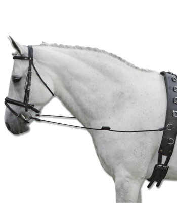 Rênes fixes élastiques