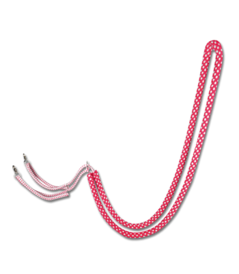 Enrênement spécial - Waldhausen