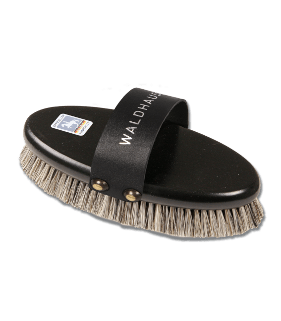 Brosse DOKR