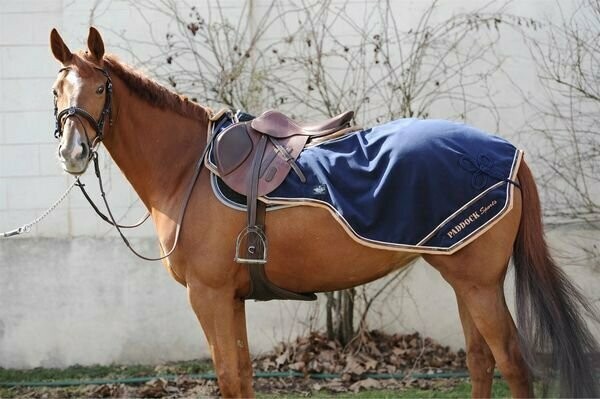 Couvre reins softshell  145/150 coupé - Paddock sport