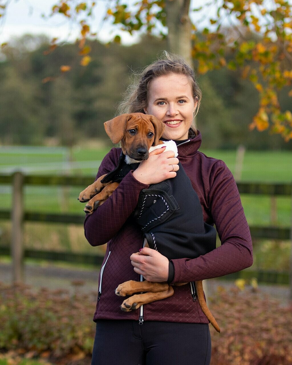 Couverture Softshell chien noir, Taille: 35cm