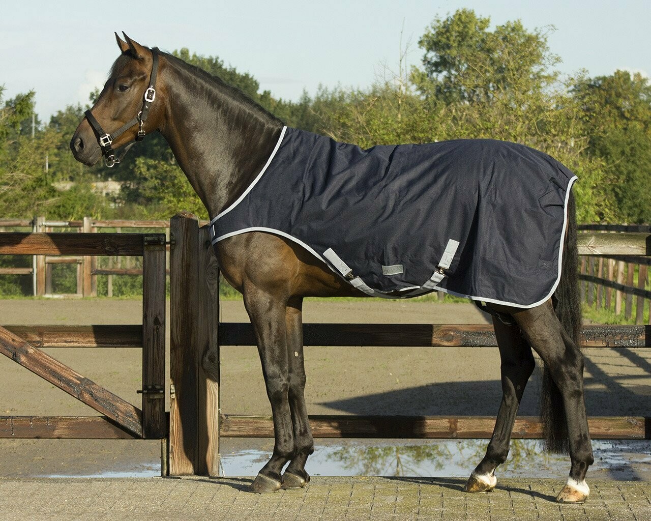 Marcheur imperméable 200g - QHP