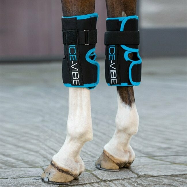Guêtres Ice Vibe genoux - HORSEWARE