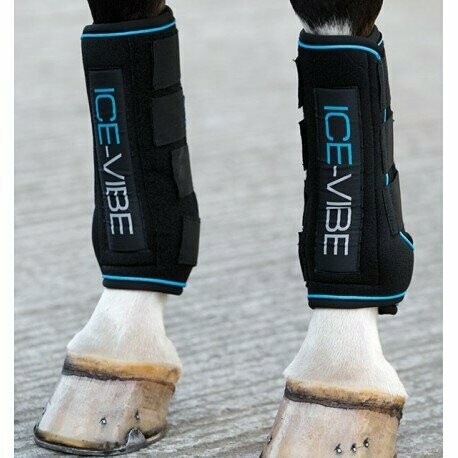 Guêtres Ice Vibe - HORSEWARE