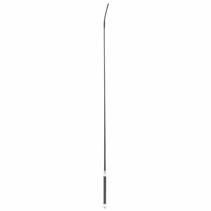 cravache de dressage W&G