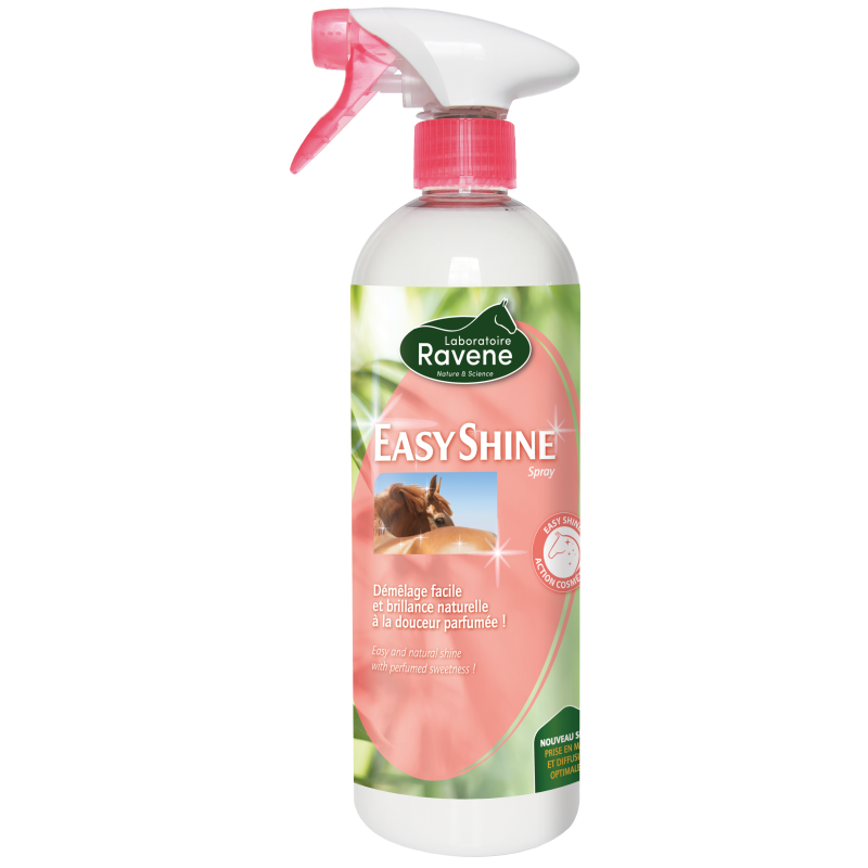 DEMELANT "Easy Shine" 750 ml - RAVENE
