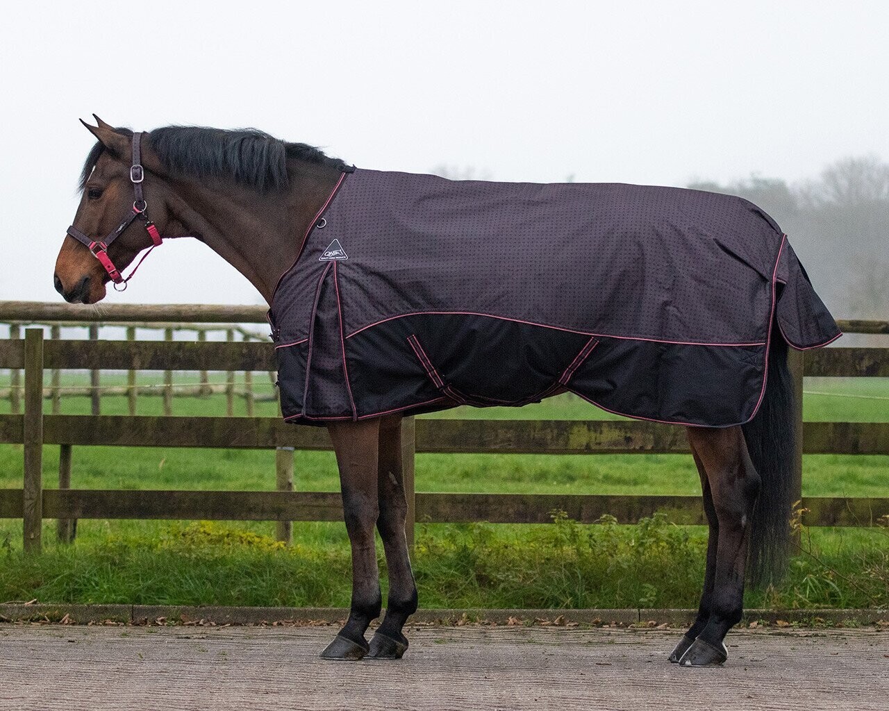 Couverture d'écurie luxe 150 g 60 cm - FALABELLA