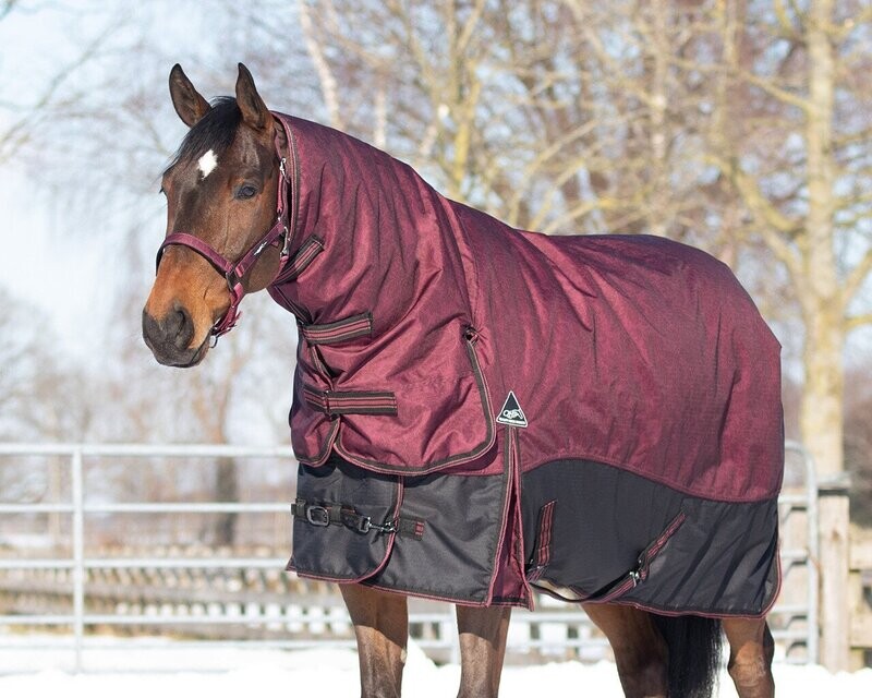Couverture cheval turnout avec cou 300G - QHP Couverture cheval turnout avec cou 300G - QHP