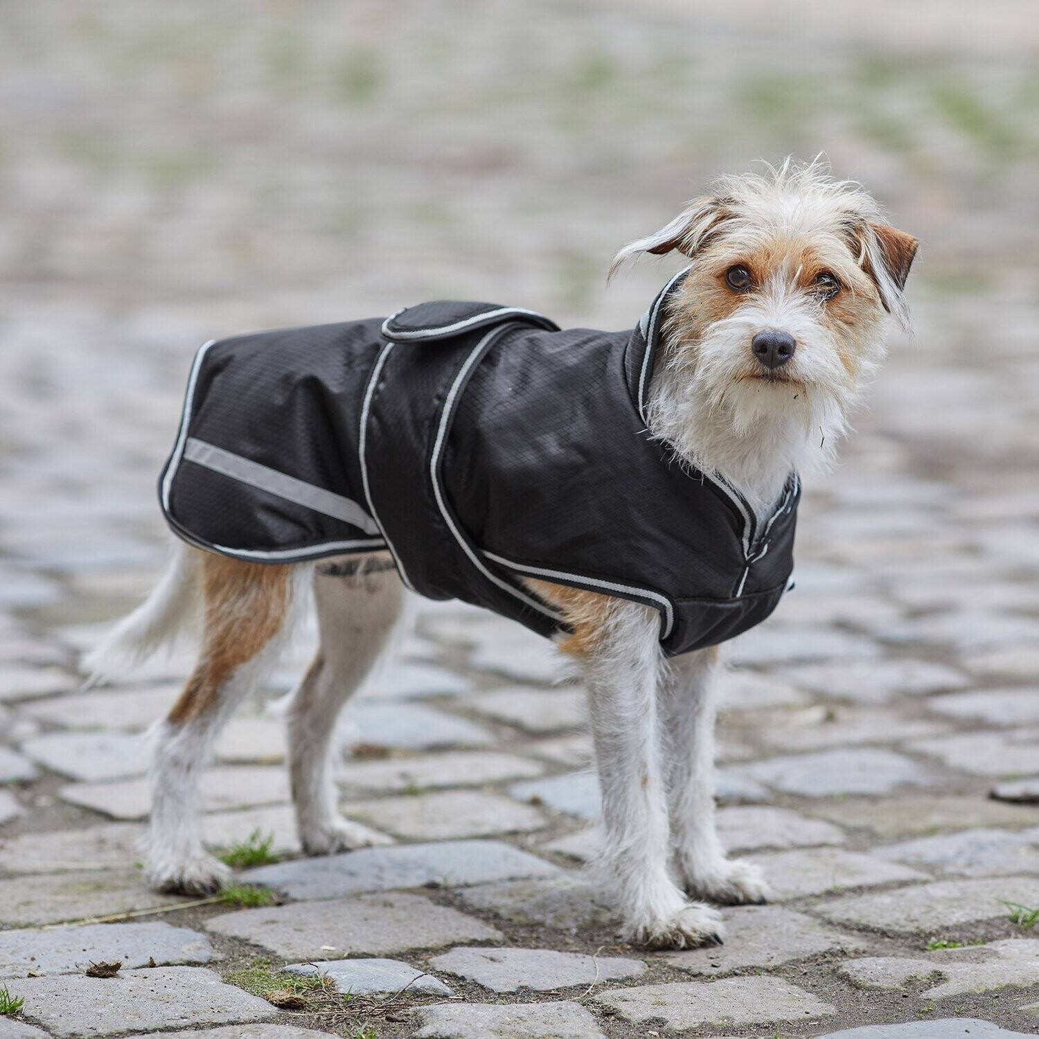 Couverture chien 65cm - Noir Couverture chien 65cm - Noir