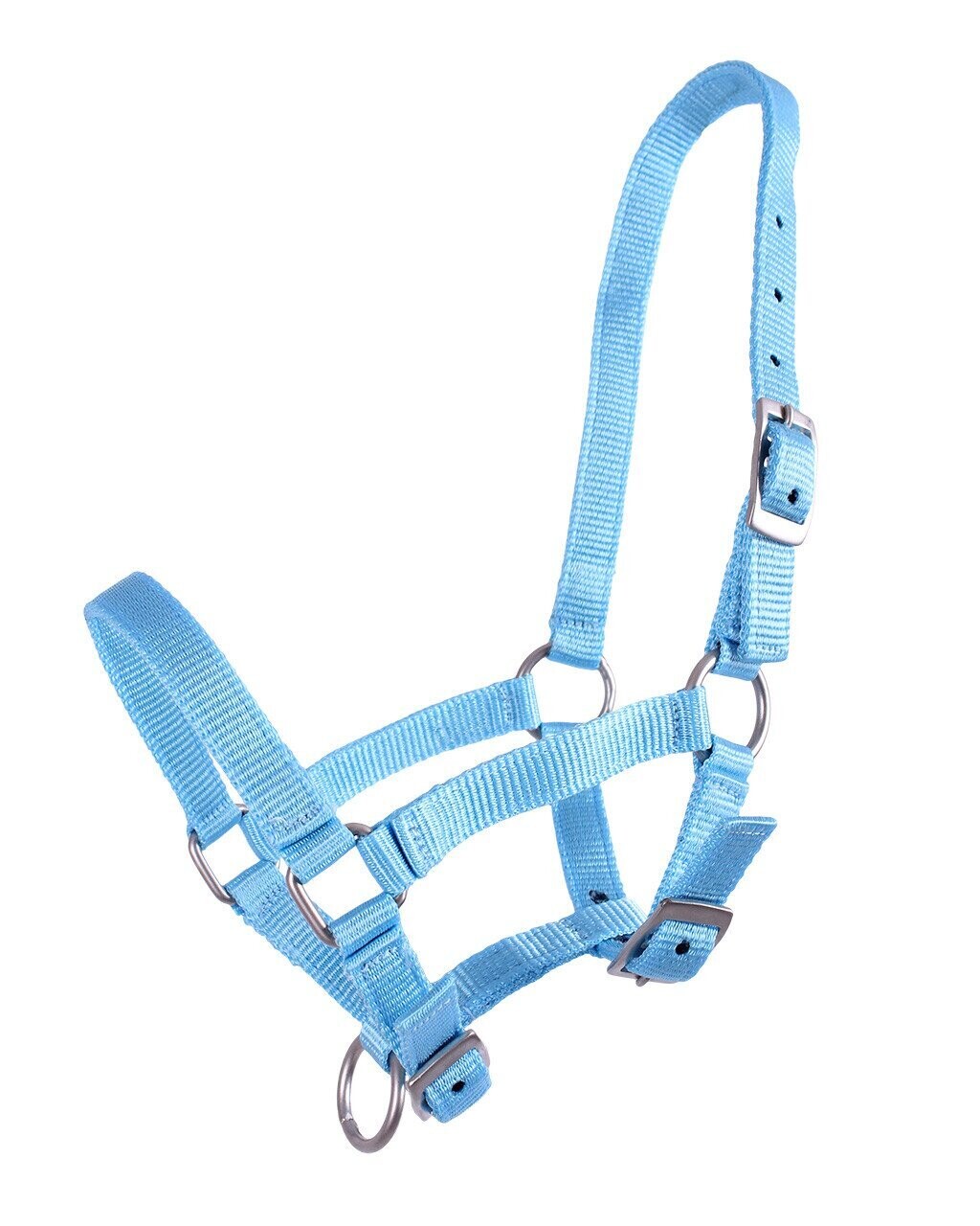 Licol réglable poulain Poney, couleur: Bleu ciel