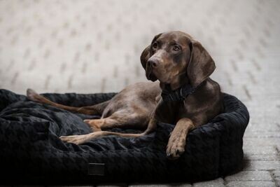 Panier Chien Essence S - ESKADRON