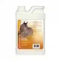 Shampoing Summer Pearl 1L - HOW
