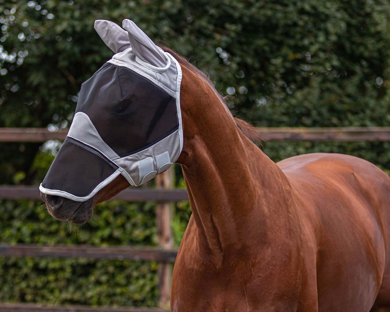 Masque anti insectes - QHP