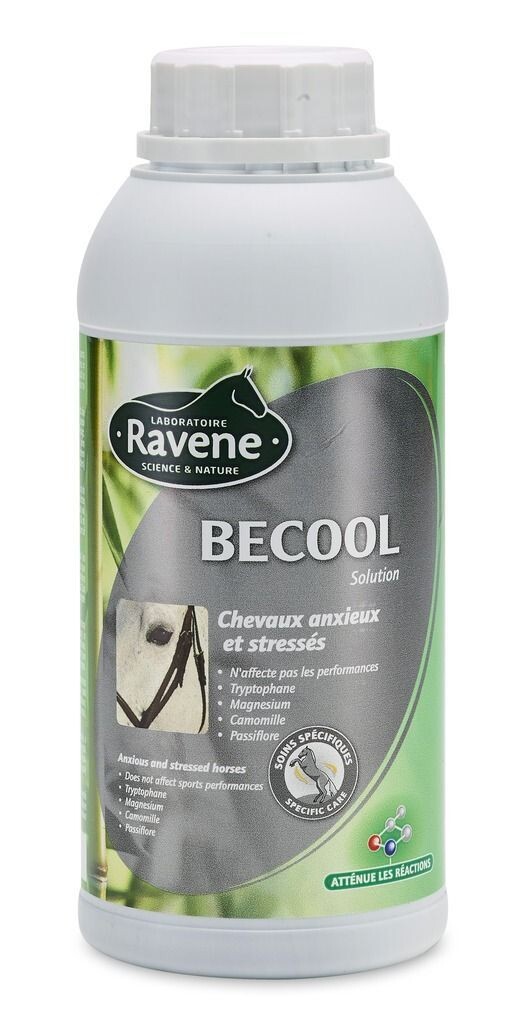 BECOOL