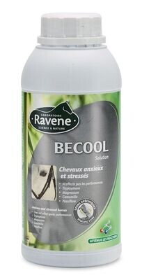 BECOOL