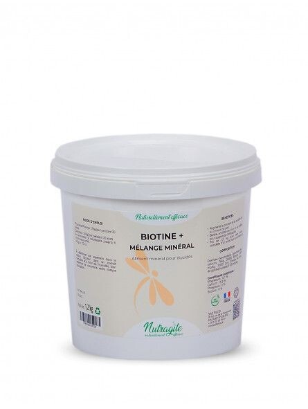 Biotine+ 1.2kg - NUTRAGILE