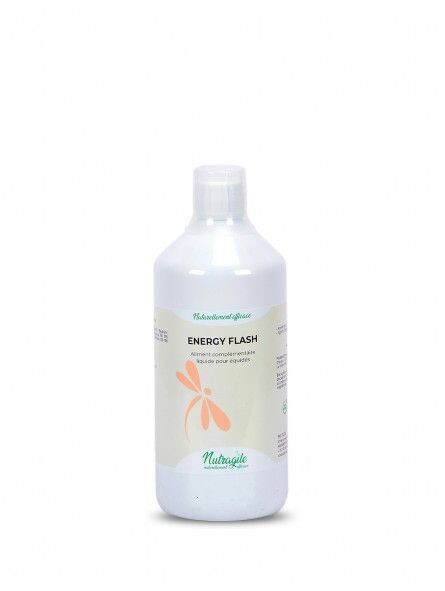 Energy Flash 1l - NUTRAGILE