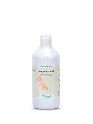 Energy Flash 1l - NUTRAGILE Energy Flash 1l - NUTRAGILE