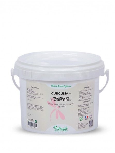 Curcuma+ 1kg - NUTRAGILE