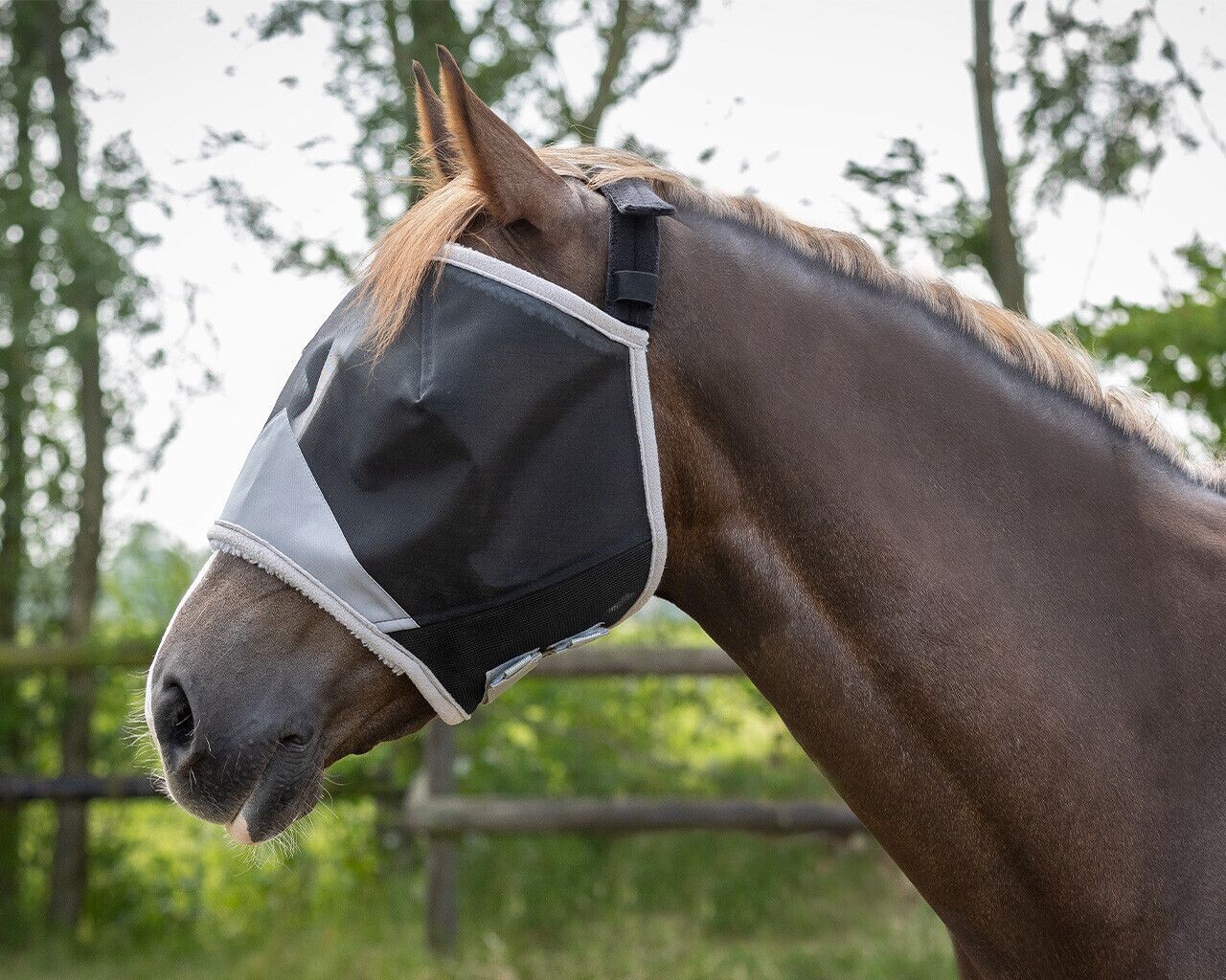 Bonnet anti mouche sans oreilles - QHP