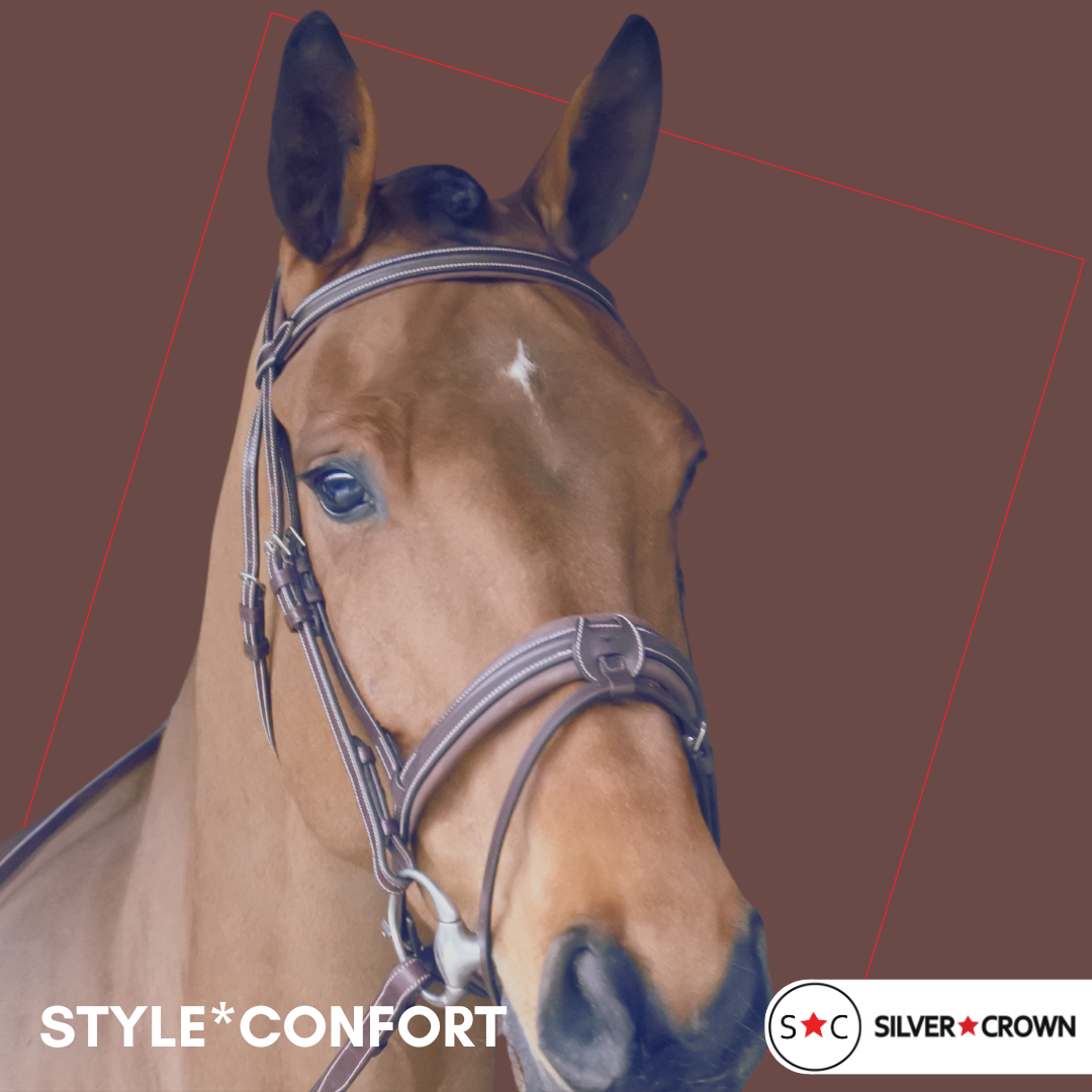 Bridon Confort Marron Nut Full - Silver Crown
