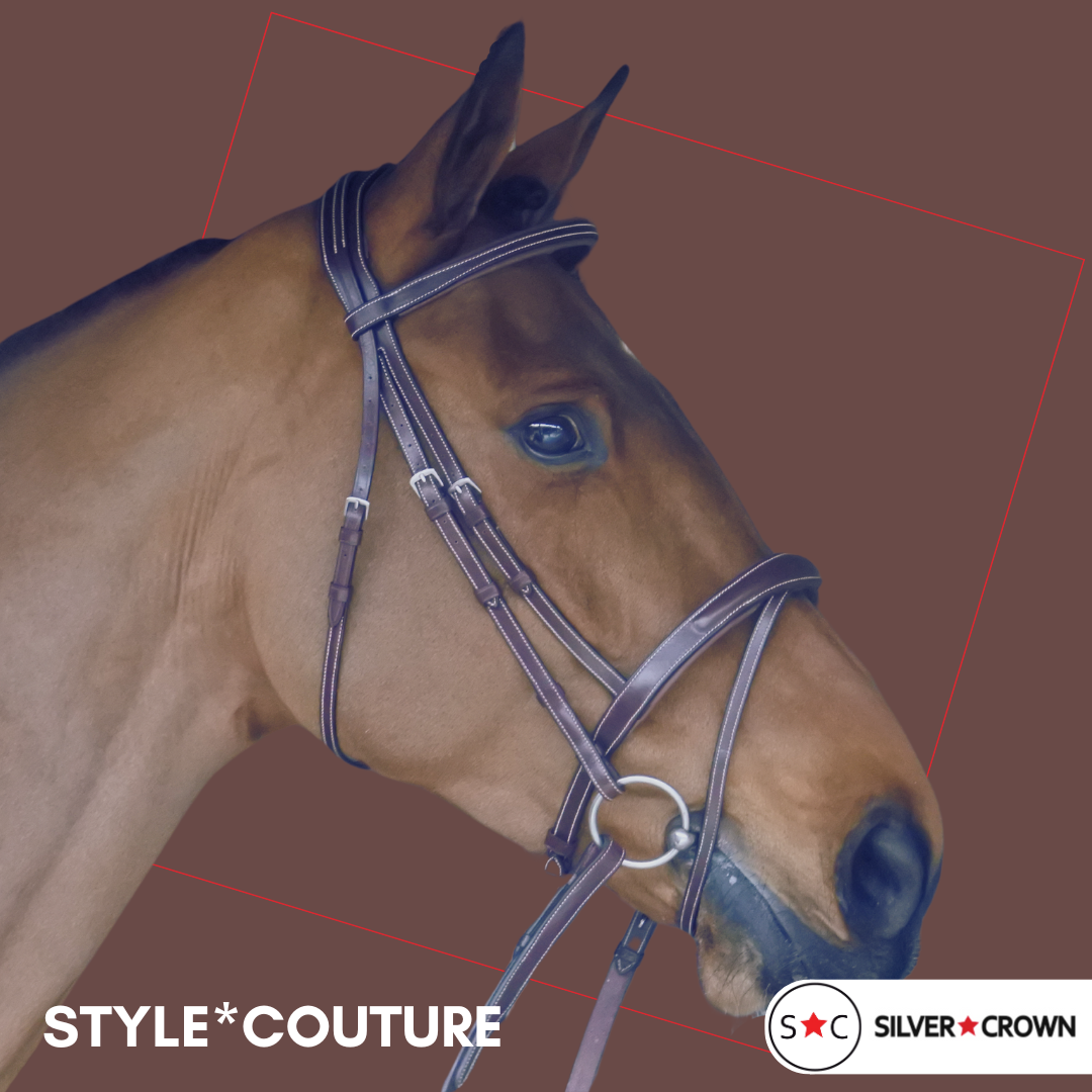 Bridon Couture Marron Nut Full - Silver Crown