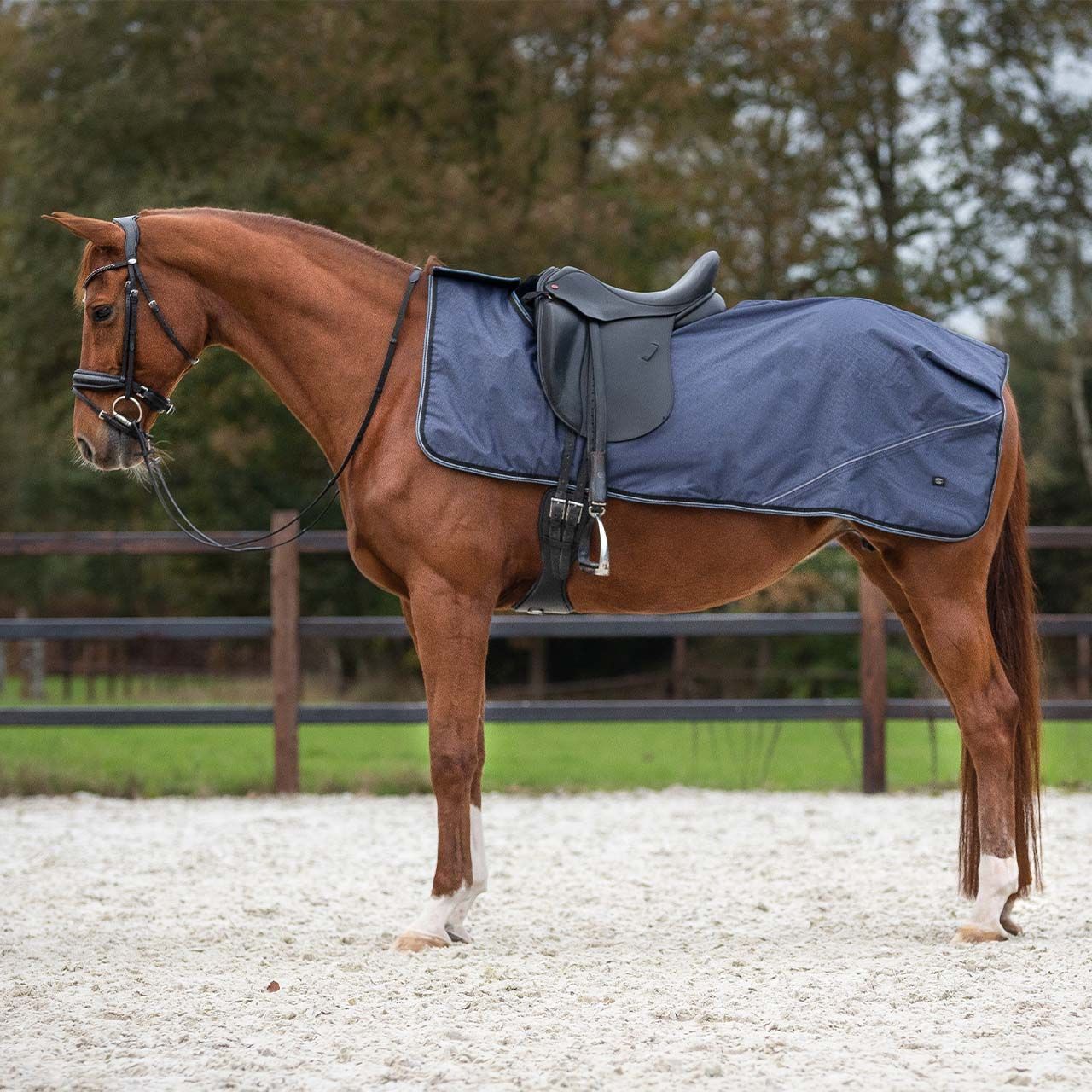 Couvre reins polaire 1200D turnout collection Saphir - QHP