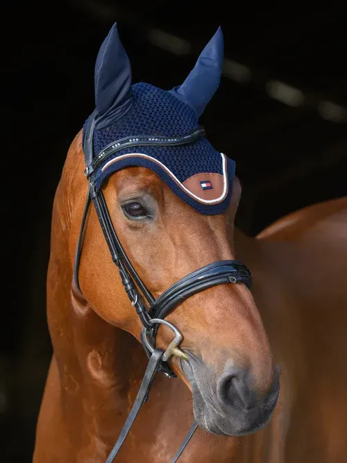 Bonnet Princeton Marine/Marron - TOMMY HILFIGER