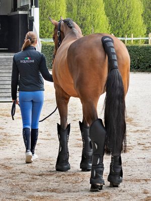 Protège queue noir - EQUILINE Protège queue noir - EQUILINE