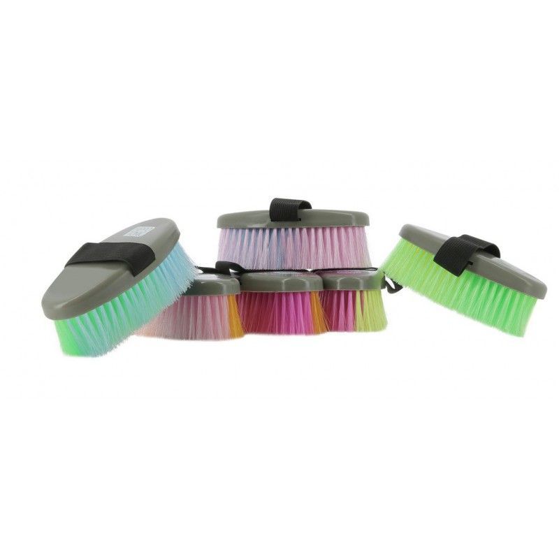 Brosses multicolor - HIPPOTONIC
