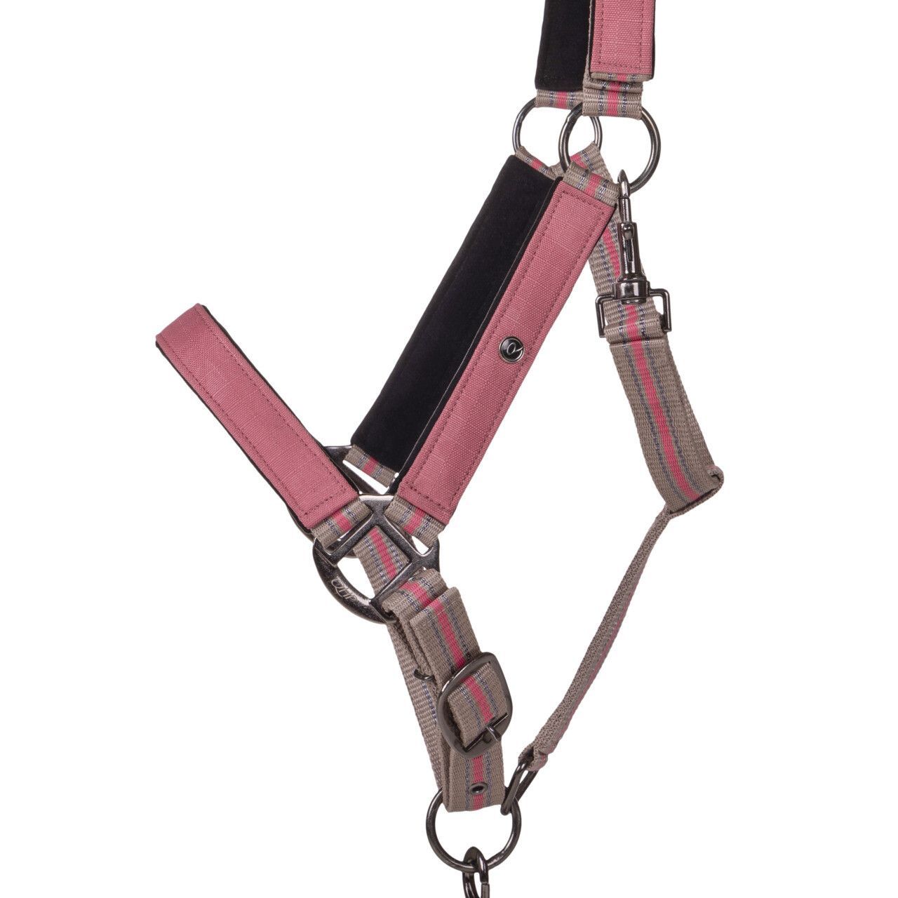 Licol et longe Flamingo  - QHP, Taille: Mini Shet