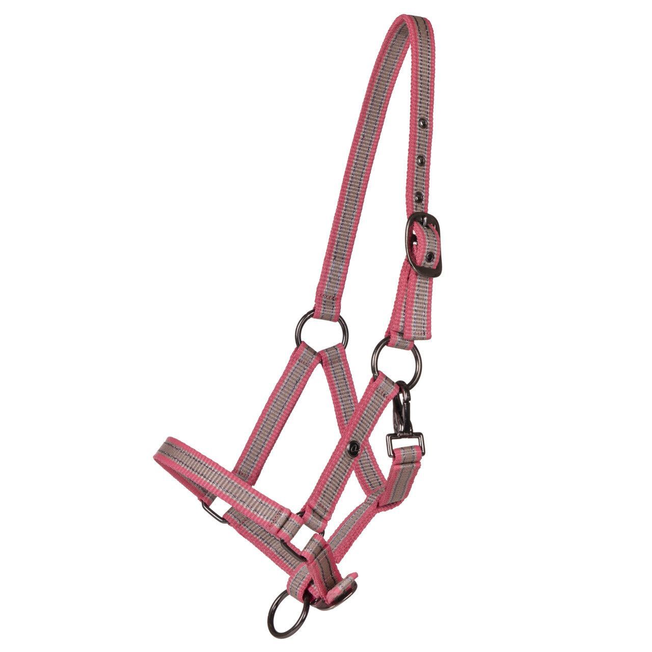 Licol Yearling 1an - QHP