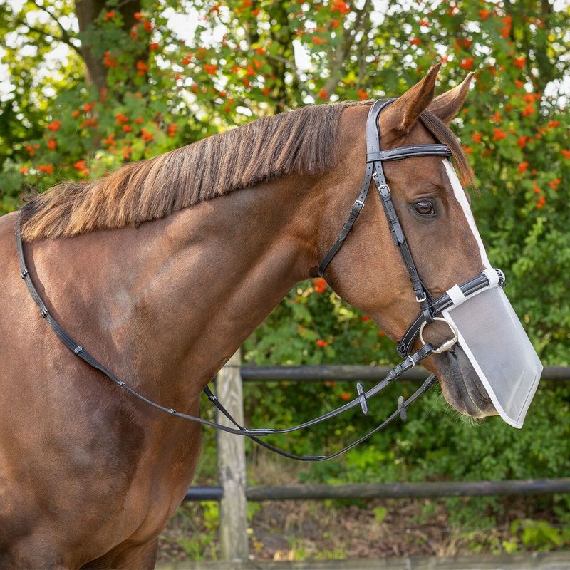 Protection du nez UV - QHP