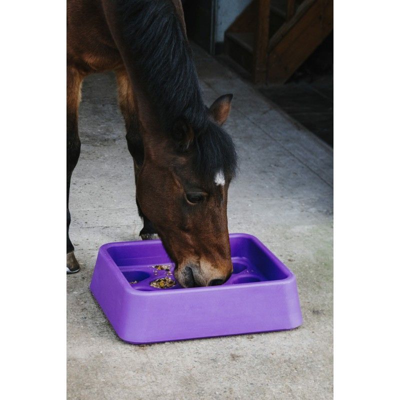 Mangeoire anti glouton - Hippotonic