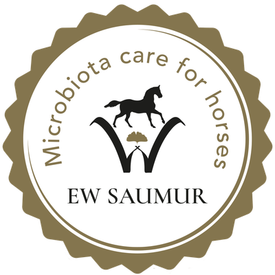 EW SAUMUR