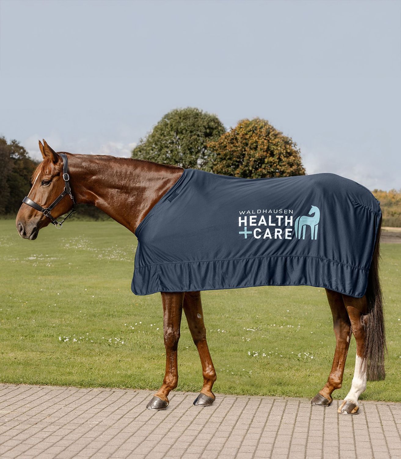 Couverture Health + Care Ice Layer - Waldhausen