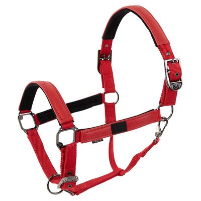 Licol Jade rouge - BR Licol Jade rouge - BR