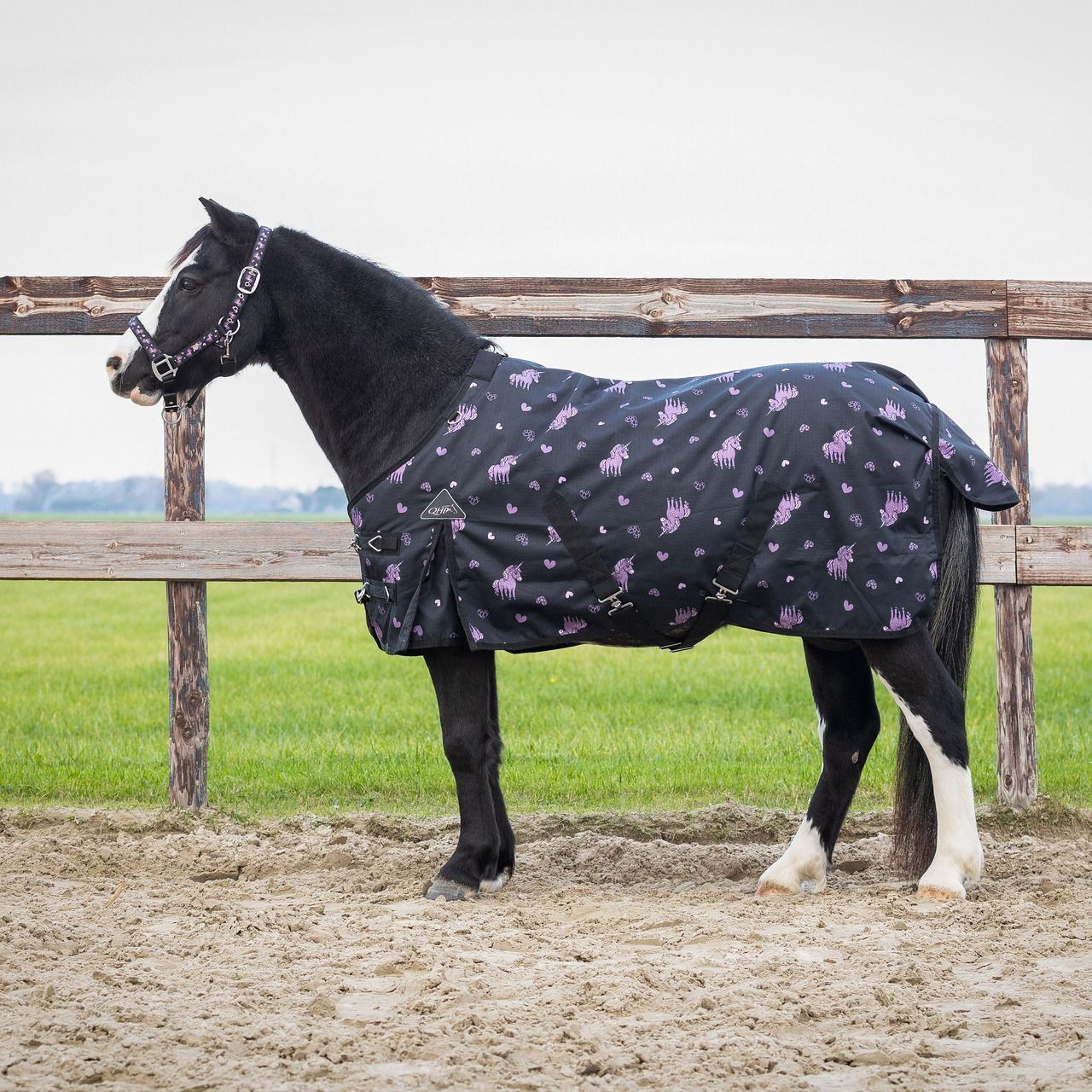 Couverture turnout Lize 100gr - QHP