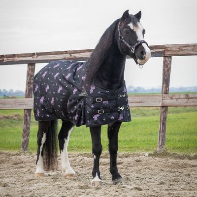 Couverture cheval
